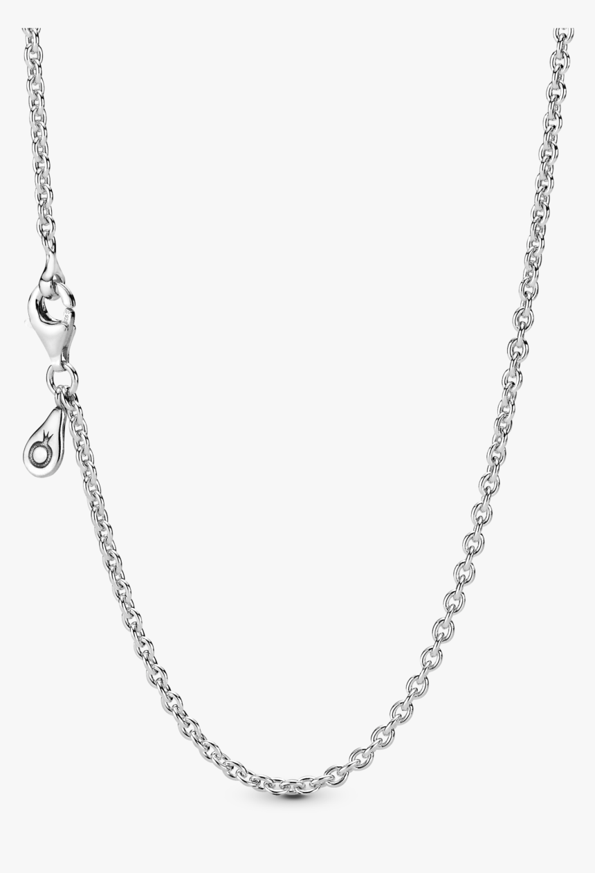 Pandora - Title - Tag - Necklace Pandora, HD Png Download
