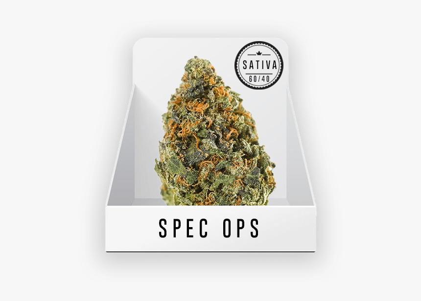 Spec Ops Strain, HD Png Download
