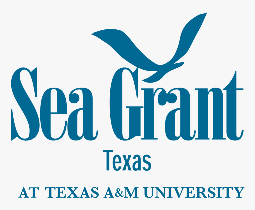 Seagrant Attexasam Blue - Texas Sea Grant Logo, HD Png Download