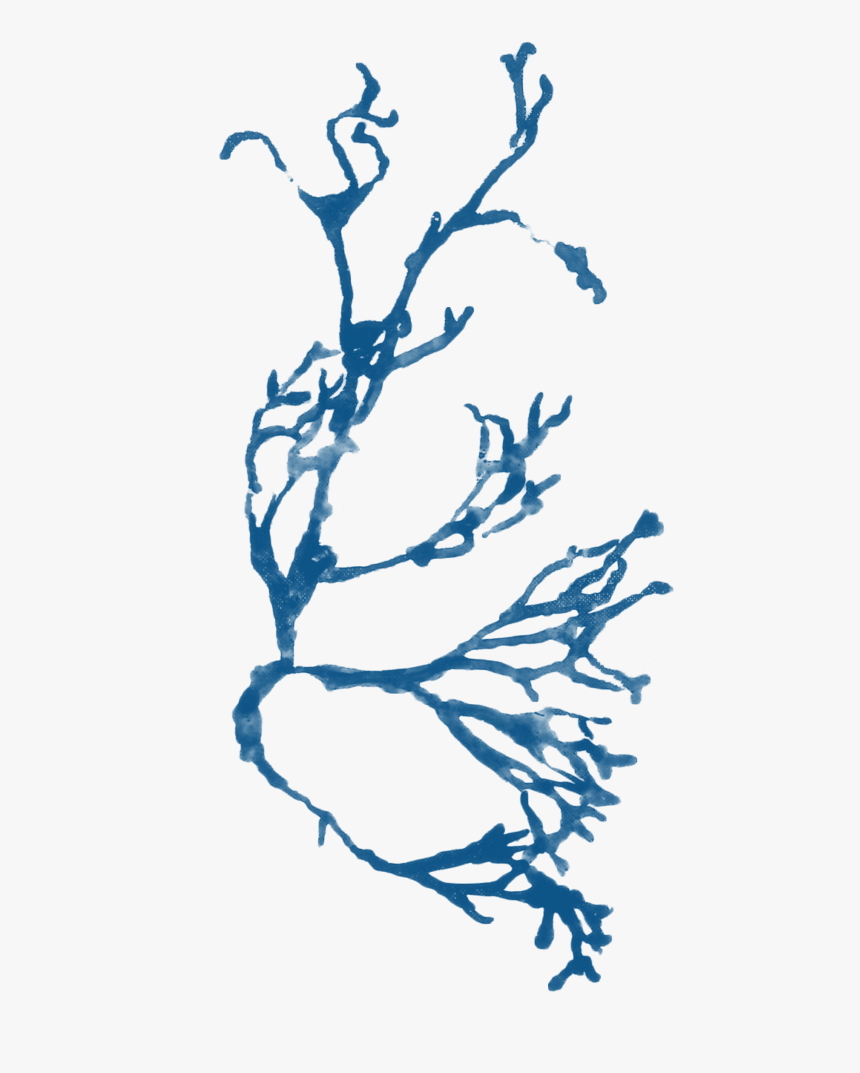 Illustration, HD Png Download