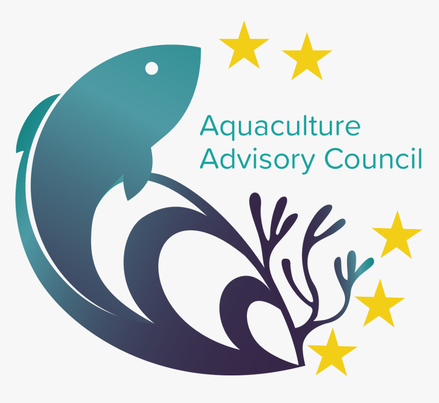 Different Shapes And Colors, HD Png Download