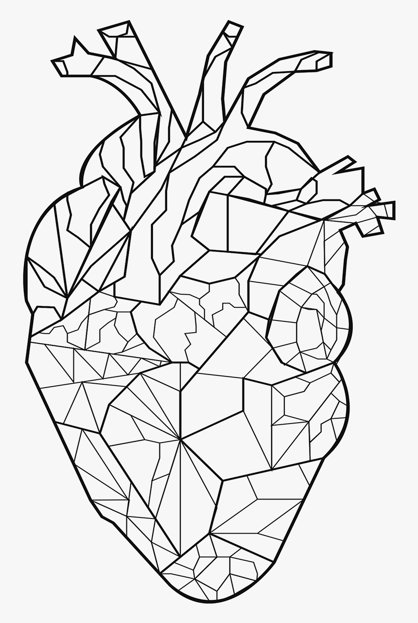 Line Art, HD Png Download