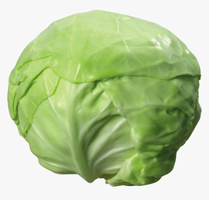Cabbage No Background, HD Png Download