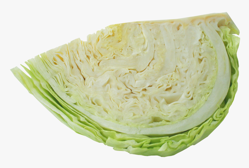 Cabbage Png Transparent, Png Download