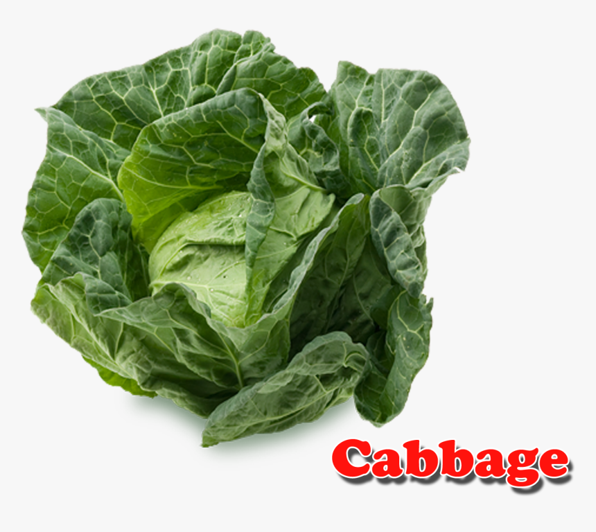 Cabbage Png - Cabbage Vegetable Image With Name, Transparent Png
