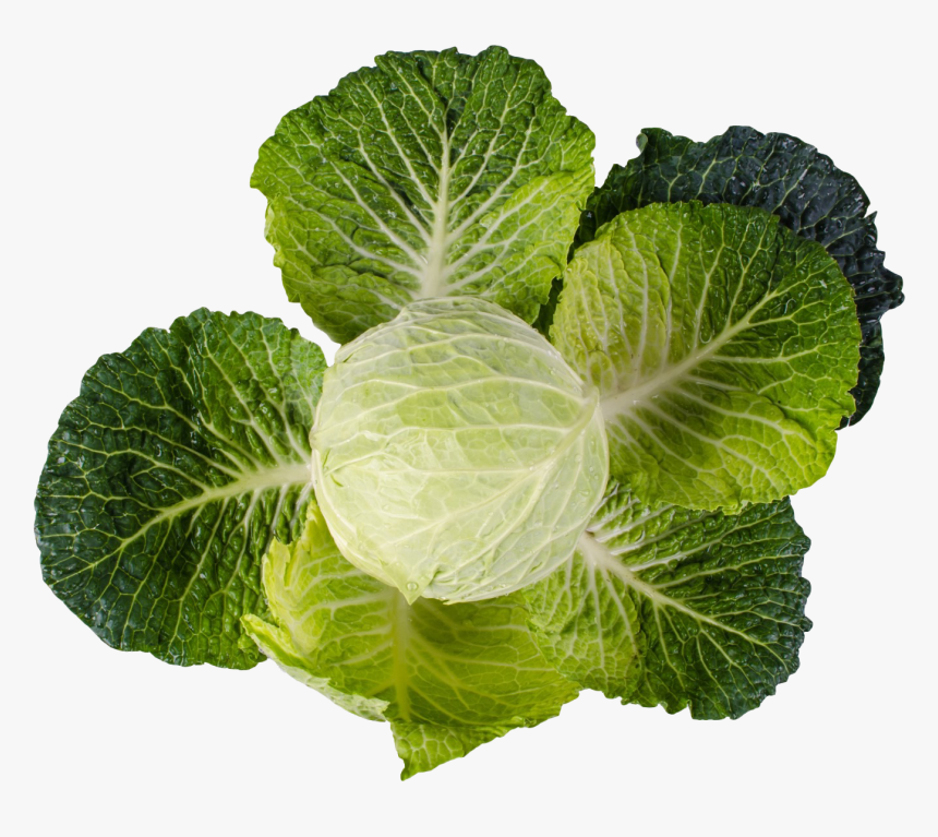 Collard Green Png, Transparent Png