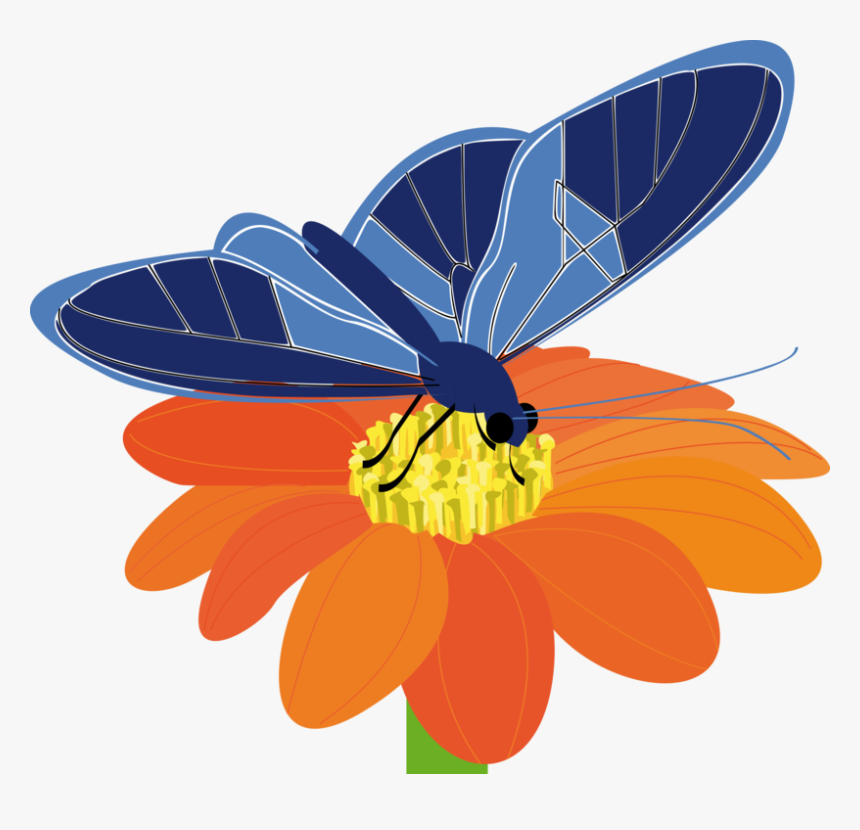 Blue Butterfly With Flower Svg Clip Arts - Butterflies On Flower Clipart, HD Png Download
