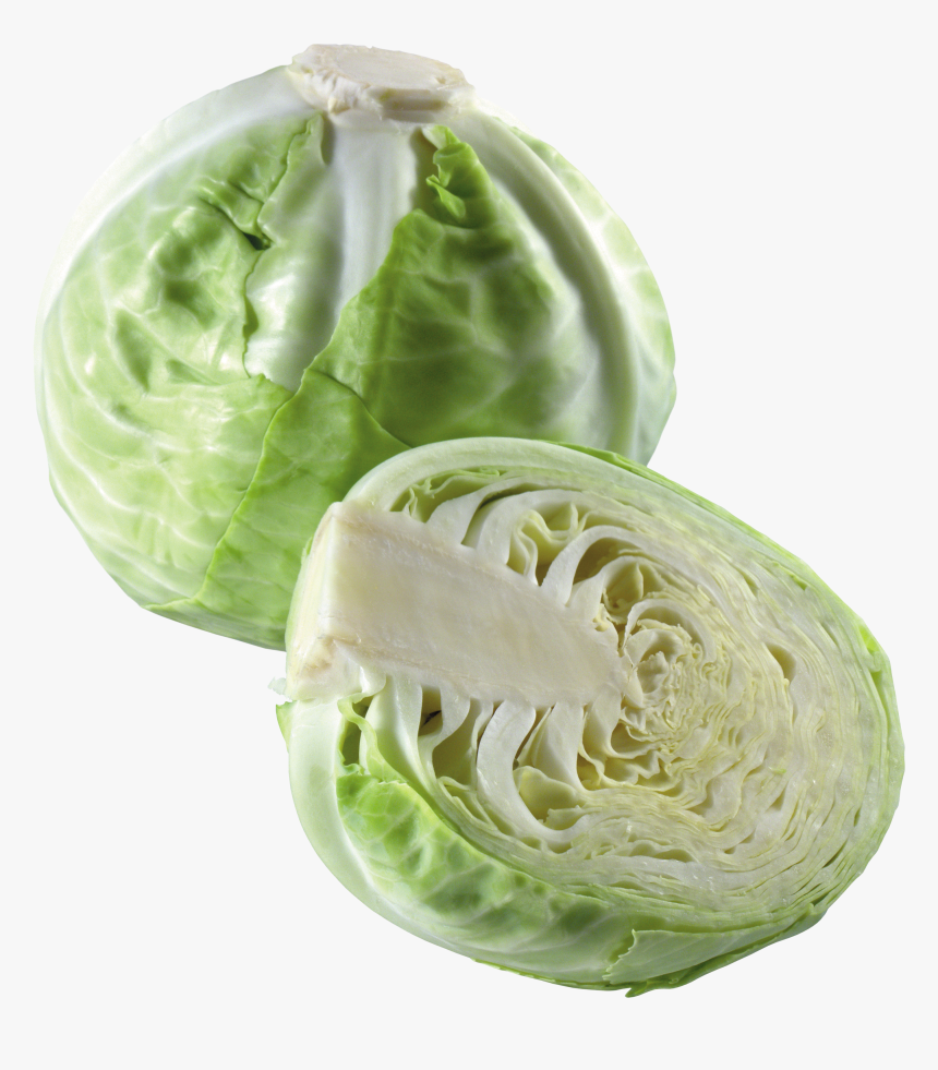 Cabbage Png, Transparent Png