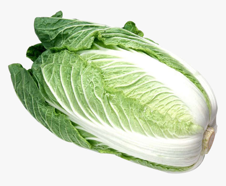 Napa Cabbage Png - Foreign Vegetable, Transparent Png