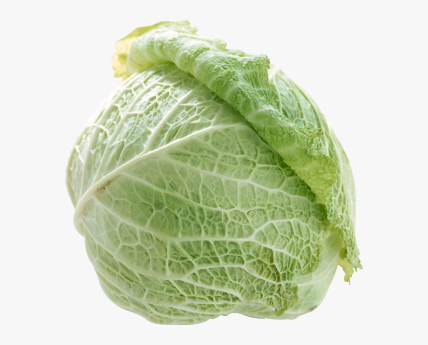 Cabbage Png Free Image Download - 菜, Transparent Png