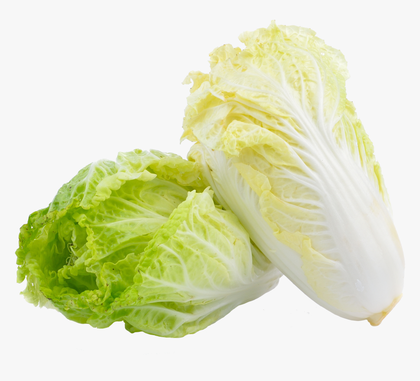 Chinese Cabbage Png , Png Download - Chinese Cabbage Png, Transparent Png