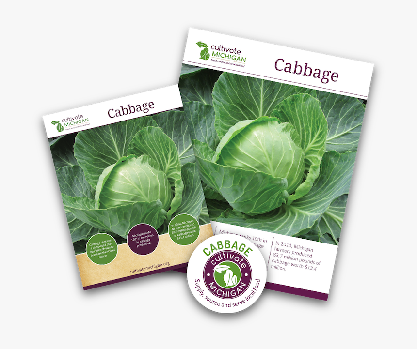 Cabbage Png -gingered Cabbage Slaw - Collard Greens, Transparent Png
