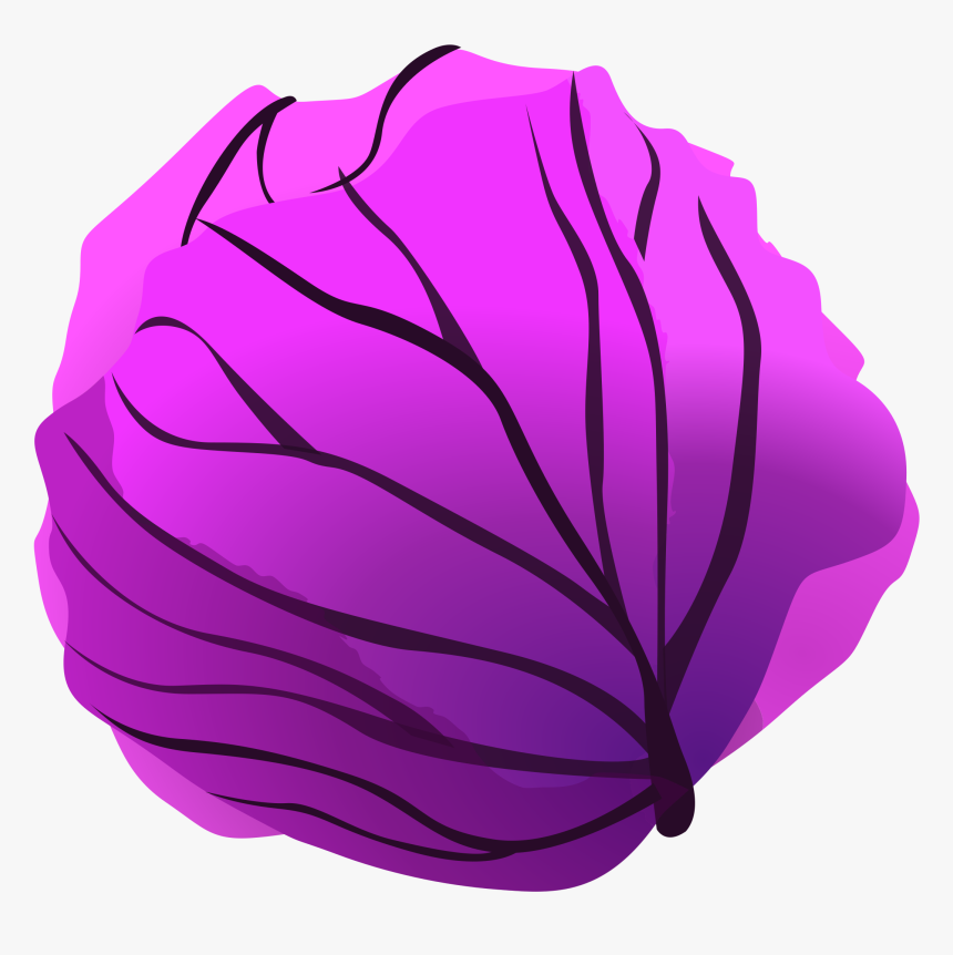 Red Cabbage Clip Arts - Purple Cabbage Clipart, HD Png Download