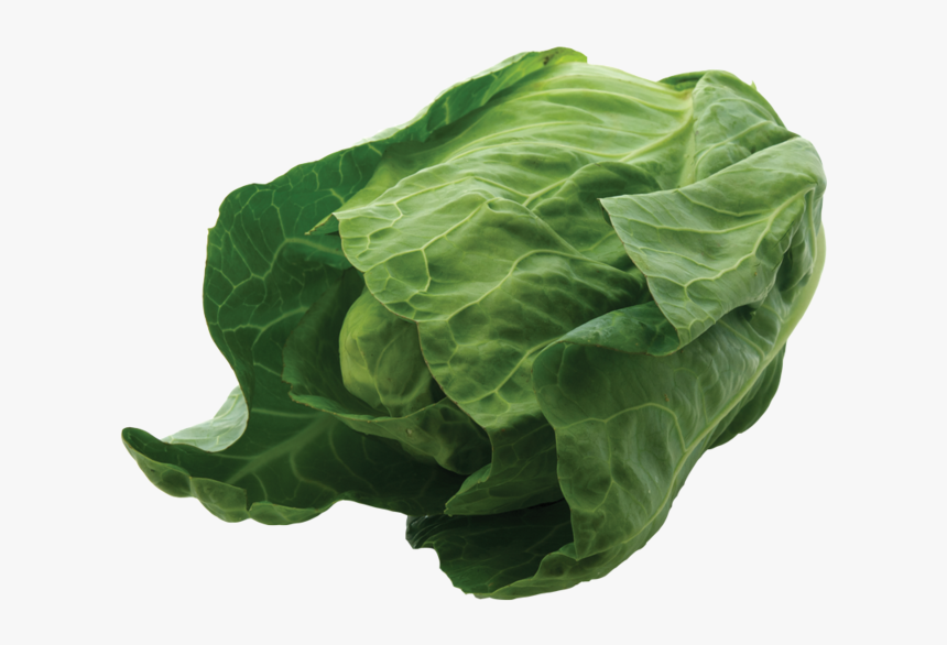 Spinach, HD Png Download