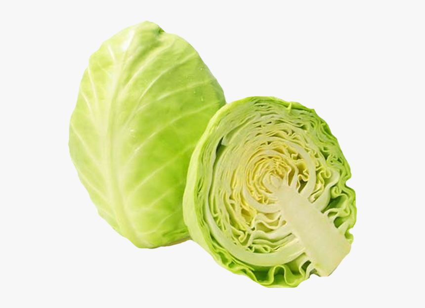Red Cabbage Cauliflower Chou Vegetable - کلم پیچ, HD Png Download