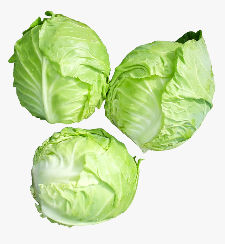 Iceburg Lettuce, HD Png Download