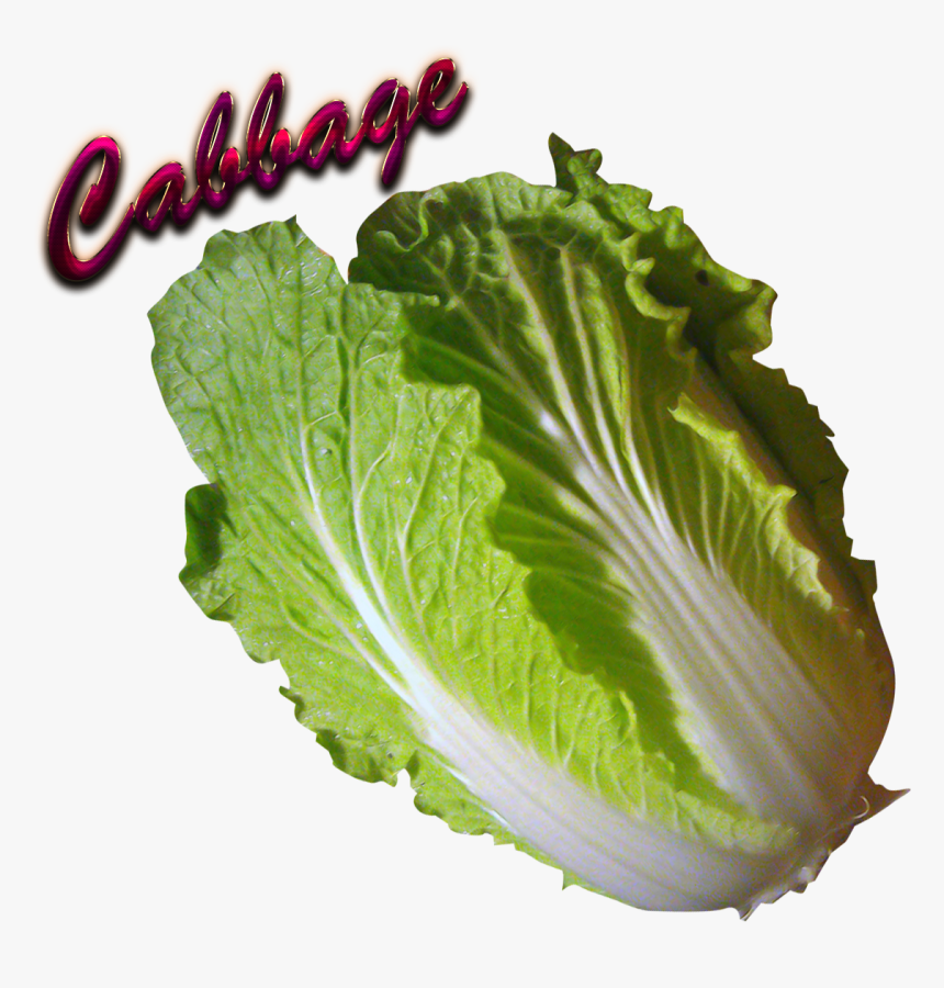 Cabbage Download Png - Collard Greens, Transparent Png