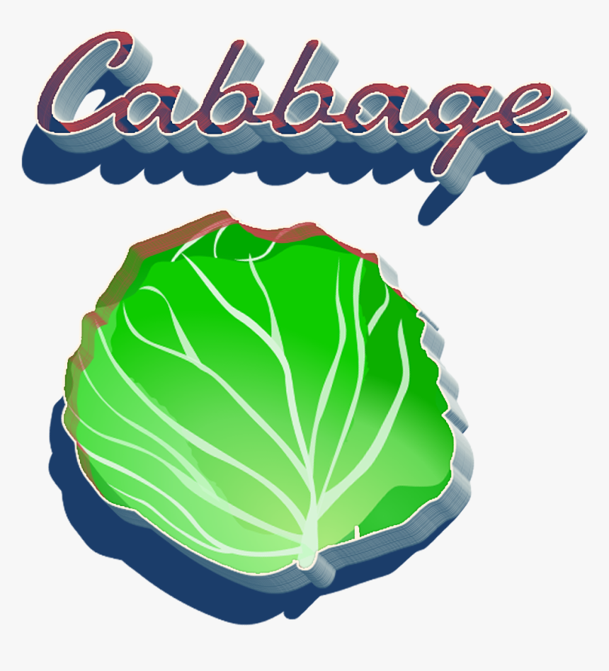 Cabbage Png Clipart - Illustration, Transparent Png