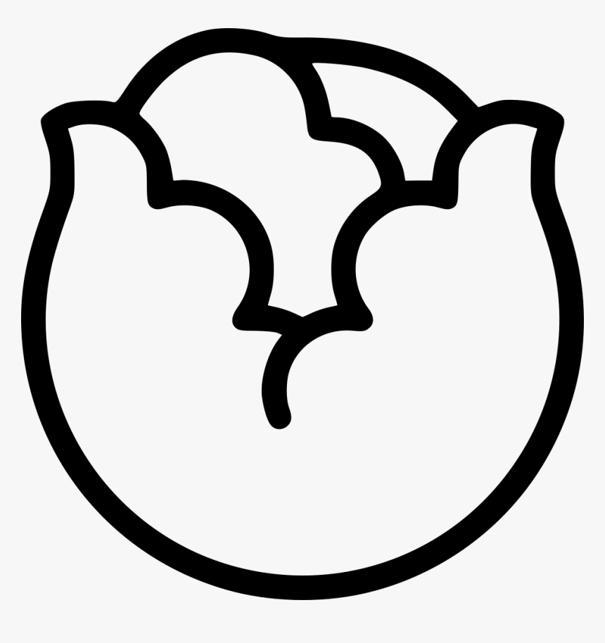 Cabbage, HD Png Download