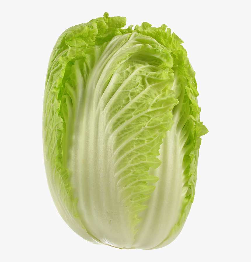 Cabbage Png Picture - Wong Bok Cabbage, Transparent Png