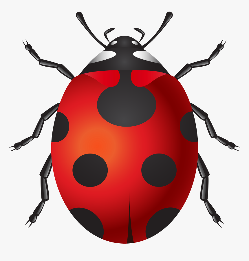 Ladybug Png Clip Art, Transparent Png