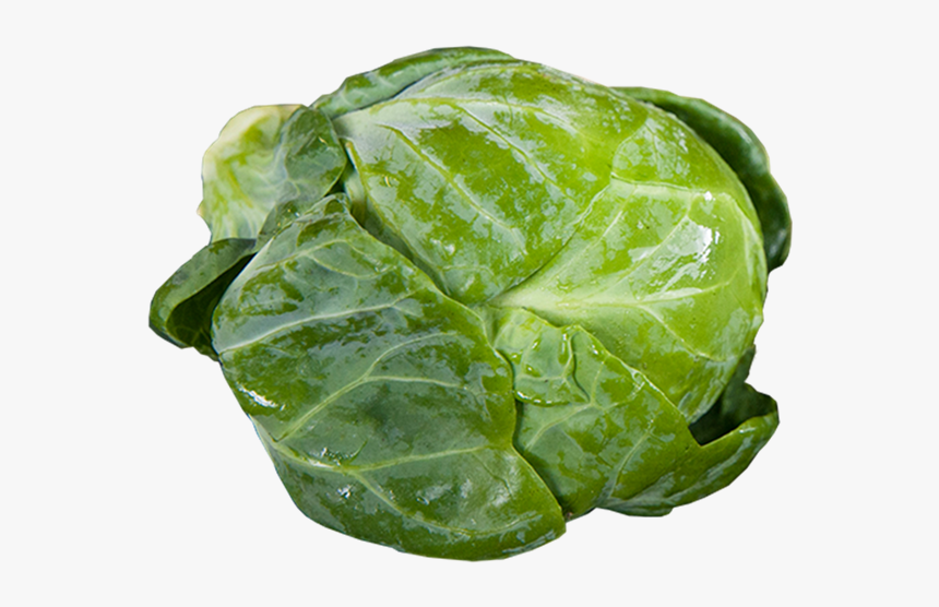Savoy-cabbage - Brussel Sprout Transparent Background, HD Png Download