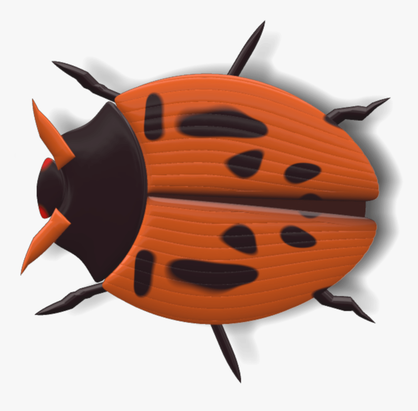 Ladybug Black And Red - Ladybird Beetle, HD Png Download