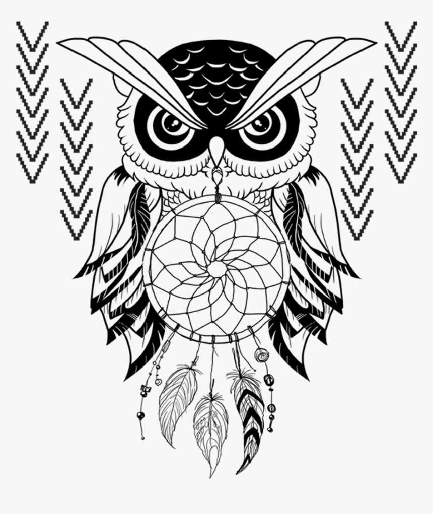 Drawing Feather Owl Transparent Png Clipart Free Download - Dream Catchers Black And White, Png Download