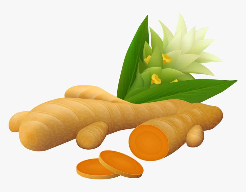 Ginger Vector Spice - Turmeric Vector, HD Png Download