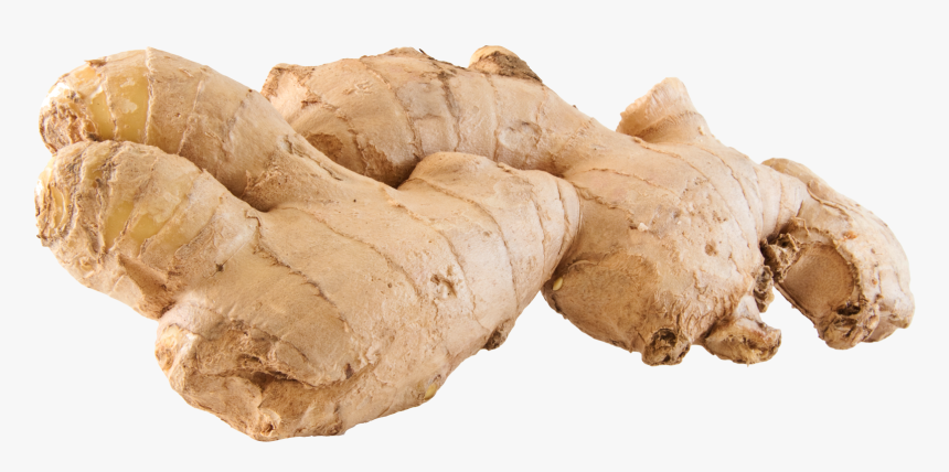 Ginger Png - Gingers Png, Transparent Png