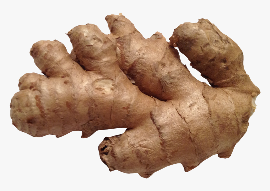 Ginger Png Image - Ginger Png, Transparent Png