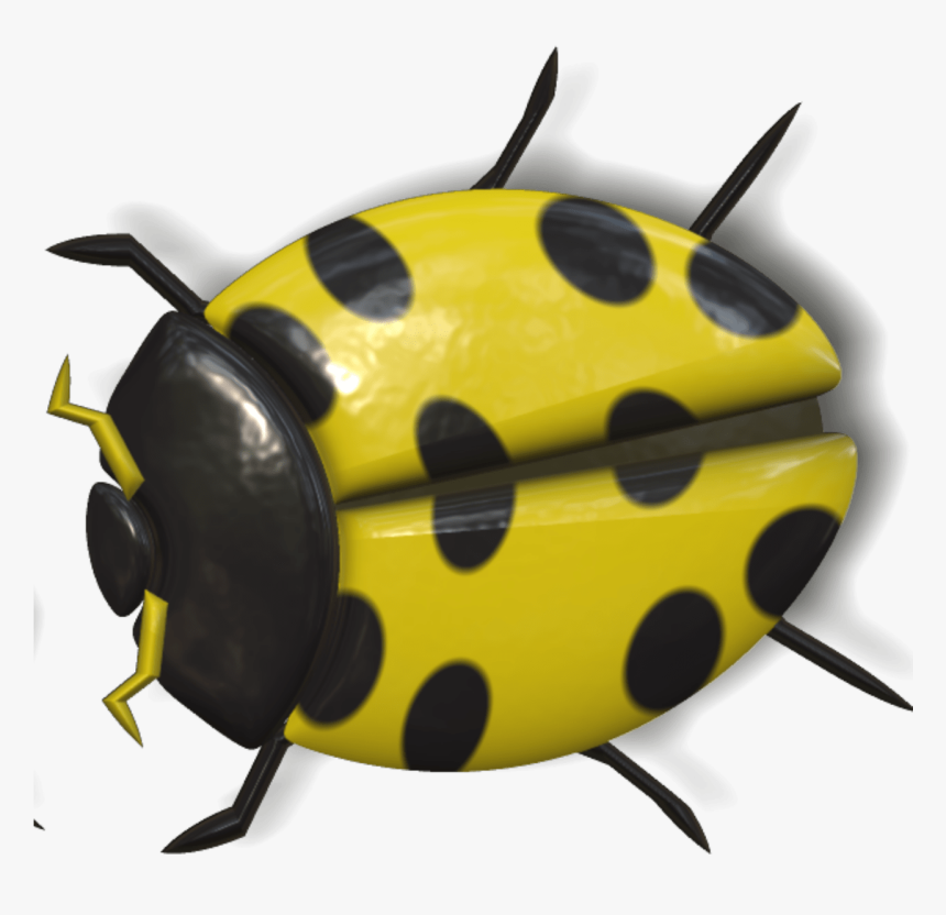 Ladybug Yellow And Black - Yellow Ladybug Png, Transparent Png