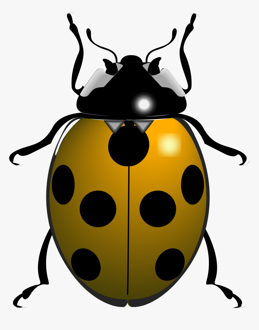 Big Image Png - Things That Begin With The Letter Ladybug, Transparent Png