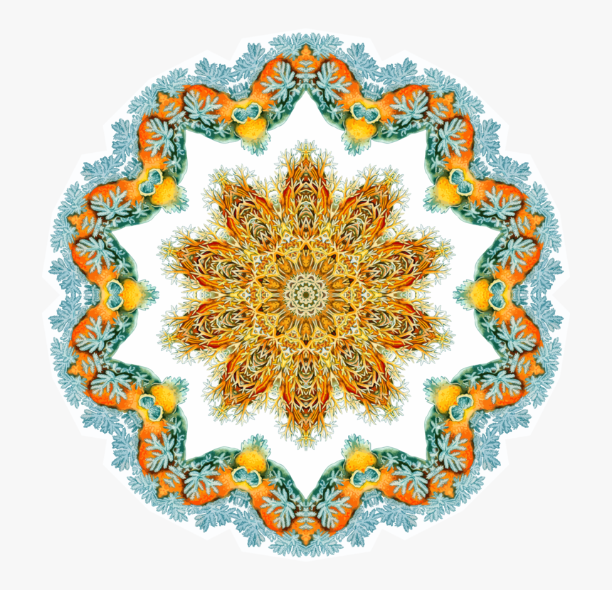 Transparent Lace Doily Png - Lace, Png Download