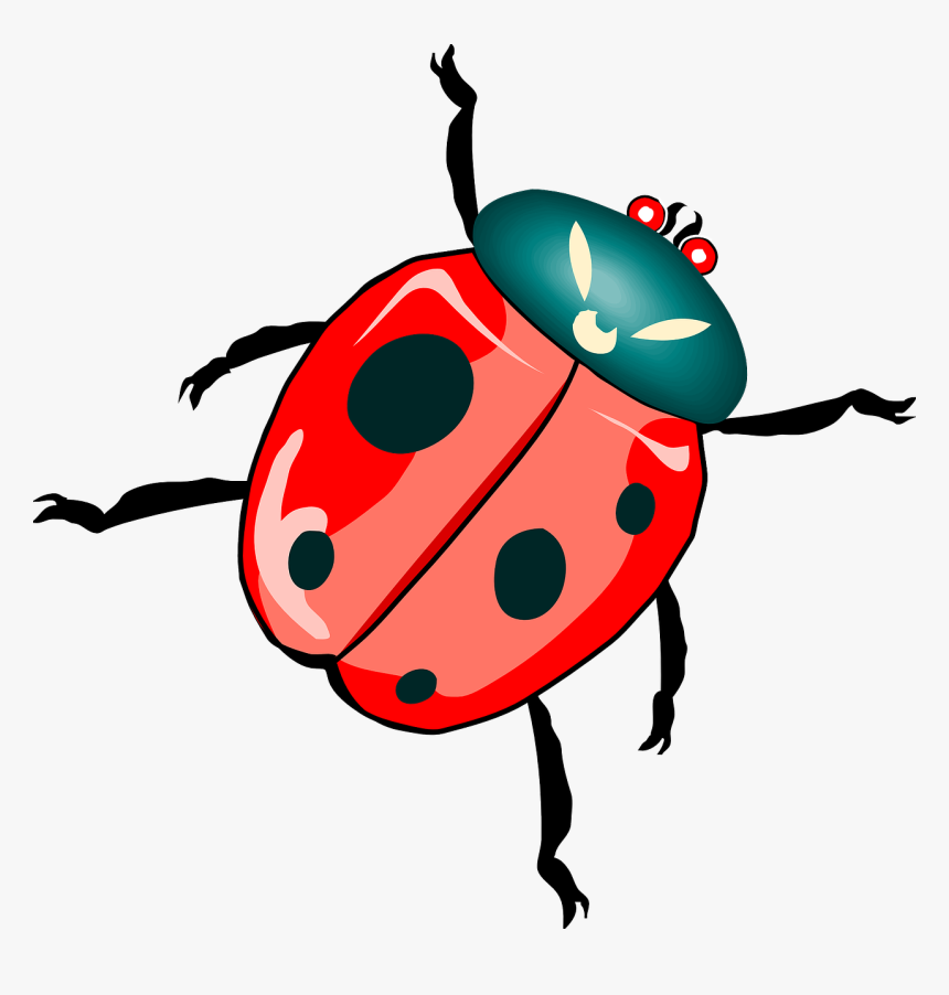 Clip Art Bug, HD Png Download