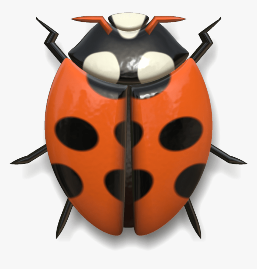 Ladybug Red And Black Head Up - Head Of A Ladybug, HD Png Download