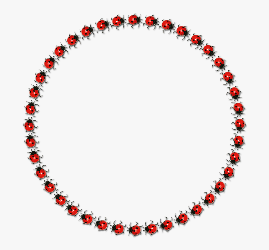 Frame, Round, Lucky Ladybug, District, Isolated - Necklace, HD Png Download