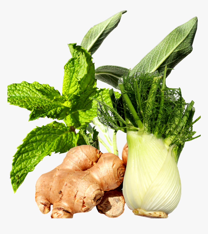 Ginger And Fennel, HD Png Download