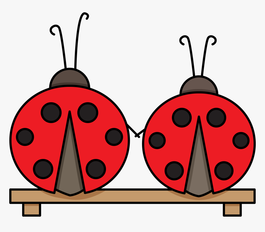 Transparent Ladybugs Png - Ladybug, Png Download