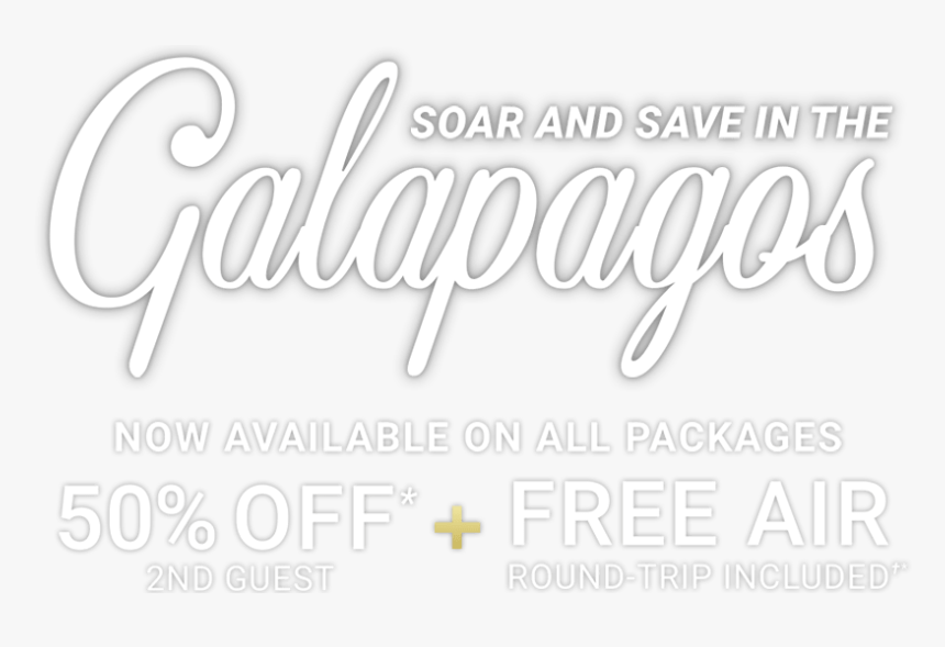 3 Days Only Black Friday Sale - Calligraphy, HD Png Download