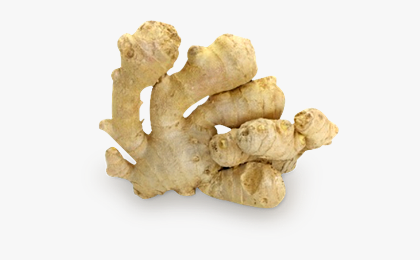 Ginger Png Image - Ginger Oleoresin, Transparent Png
