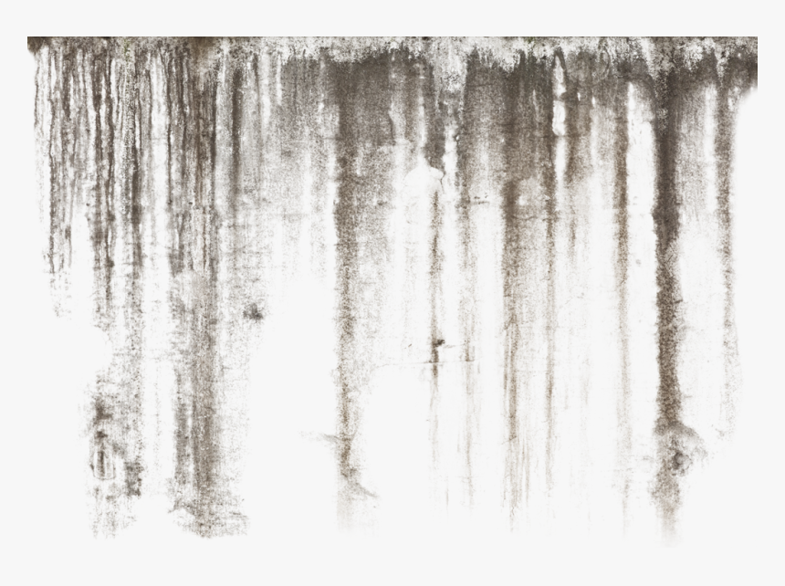 Dirt Leaks 1024×717 - Dirt Leaks, HD Png Download