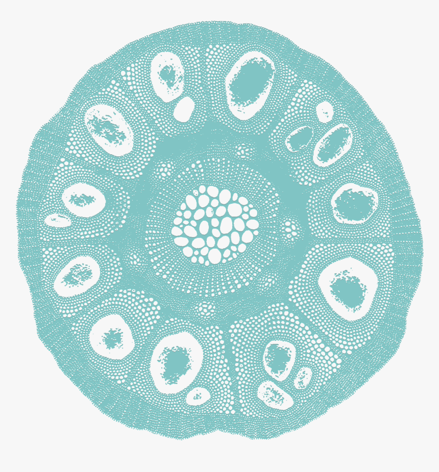 Crochet, HD Png Download