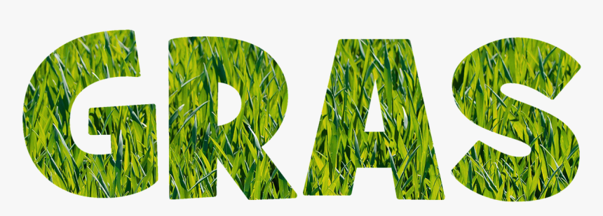 Thank You, HD Png Download