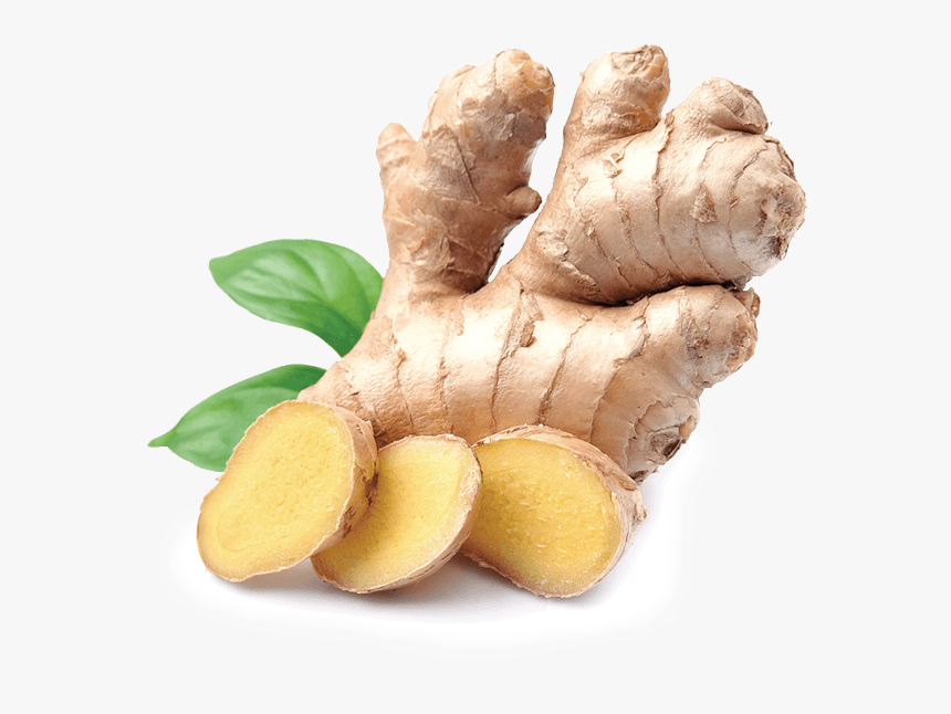Indian Ginger, HD Png Download