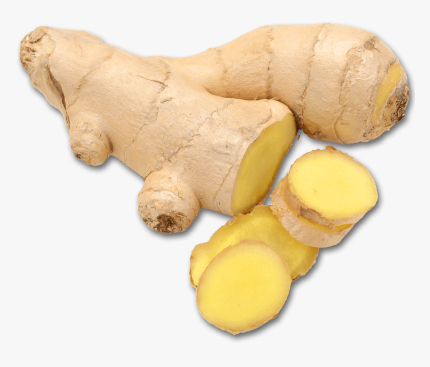 Greater Galangal, HD Png Download
