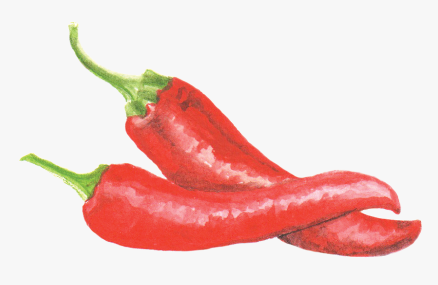 Bell Pepper Watercolor Png, Transparent Png