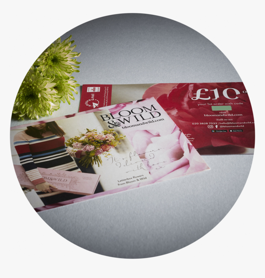 Flyer, HD Png Download