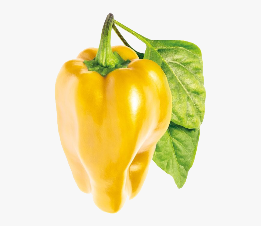 Bell Pepper Png Pic - Sweet Yellow Bell Pepper, Transparent Png