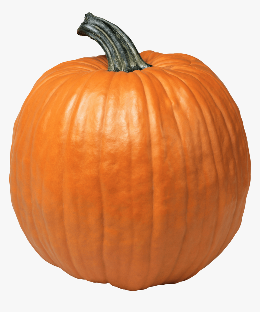 Single Pumpkin - Pumpkin Png, Transparent Png
